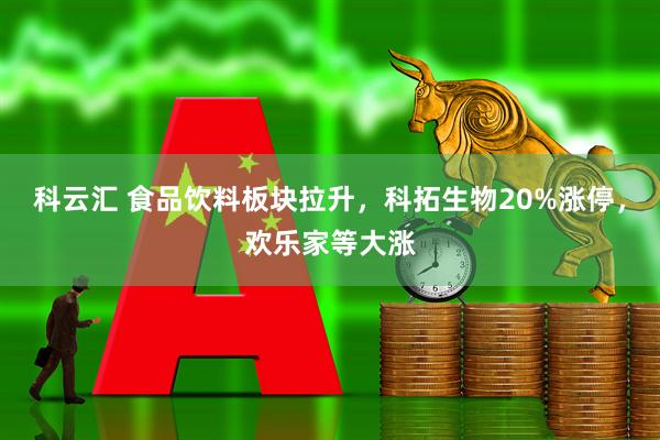 科云汇 食品饮料板块拉升，科拓生物20%涨停，欢乐家等大涨