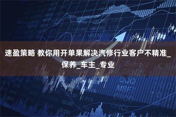 速盈策略 教你用开单果解决汽修行业客户不精准_保养_车主_专业